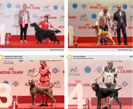 wds2015_fci7.png (1.65 МБ, Просмотров: 3821) wds2015_fci7.png