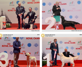 wds2015_fci8.png (1.63 МБ, Просмотров: 3817) wds2015_fci8.png