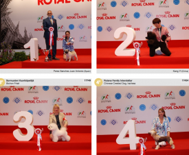 wds2015_junior_fci9.png (1.56 МБ, Просмотров: 3670) wds2015_junior_fci9.png