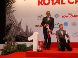 9-17241.jpg (84.74 КБ, Просмотров: 3817) 9-17241.jpg