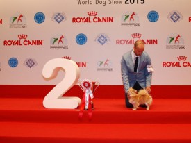 9-19158.jpg (67.83 КБ, Просмотров: 3663) 9-19158.jpg