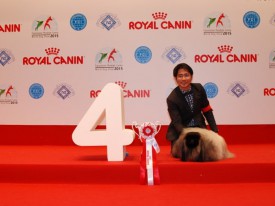 9-19840.jpg (65.96 КБ, Просмотров: 3817) 9-19840.jpg