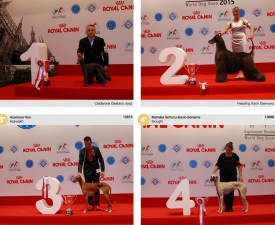 wds2015_fci10.png (1.51 МБ, Просмотров: 3670) wds2015_fci10.png