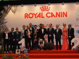 16-15704.jpg (88.71 КБ, Просмотров: 3663) 16-15704.jpg