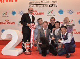 16-17241.jpg (93.47 КБ, Просмотров: 3668) 16-17241.jpg