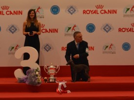 16-14466.jpg (61.52 КБ, Просмотров: 3501) 16-14466.jpg