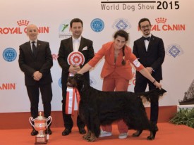 16-1943.jpg (80.42 КБ, Просмотров: 3501) 16-1943.jpg