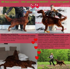 11214043_833688113394533_7750102385232248150_n.jpg (161.86 КБ, Просмотров: 1223) 11214043_833688113394533_7750102385232248150_n.jpg