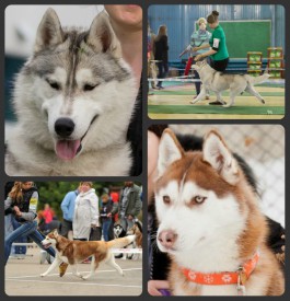 Адри Женева.jpg (393.26 КБ, Просмотров: 3838) Адри Женева.jpg