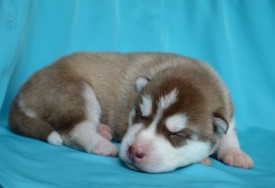 A998O0TDuZo.jpg (50.98 КБ, Просмотров: 3692) A998O0TDuZo.jpg