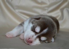 OR07FgexTGA.jpg (46.11 КБ, Просмотров: 3413) OR07FgexTGA.jpg