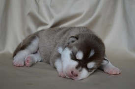 7sX9nFyJ4Uo.jpg (41.92 КБ, Просмотров: 3409) 7sX9nFyJ4Uo.jpg