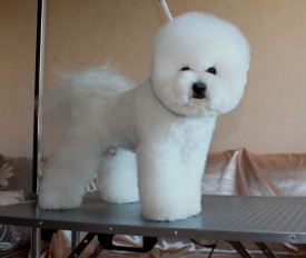 7c820cd470b04c25001d925dd8c070c0.jpg (47.62 КБ, Просмотров: 2969) 7c820cd470b04c25001d925dd8c070c0.jpg