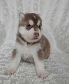 5PpPmo_mT-o.jpg (72.57 КБ, Просмотров: 3762) 5PpPmo_mT-o.jpg