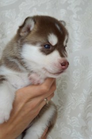 KTSBWaLiVcs.jpg (51.39 КБ, Просмотров: 3377) KTSBWaLiVcs.jpg