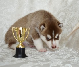 y-GQQb0lEI0.jpg (88.36 КБ, Просмотров: 3374) y-GQQb0lEI0.jpg