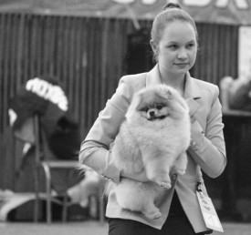 IMG_8706-22563.jpg (37.14 КБ, Просмотров: 3784) IMG_8706-22563.jpg