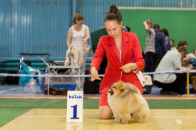 IMG_3028.jpg (308.57 КБ, Просмотров: 3858) IMG_3028.jpg