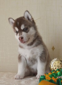 4a8_6Ilh1Mw.jpg (68.93 КБ, Просмотров: 3555) 4a8_6Ilh1Mw.jpg