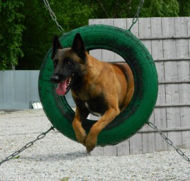 gt7AZFMl.jpg (95.28 КБ, Просмотров: 1148) gt7AZFMl.jpg