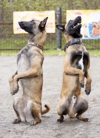 0_11ce9f_bdd1ea42_XL (2).jpg (248.21 КБ, Просмотров: 1149) 0_11ce9f_bdd1ea42_XL (2).jpg