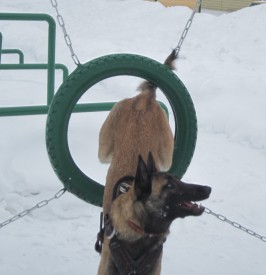 IMG_0538.jpg (96.98 КБ, Просмотров: 1237) IMG_0538.jpg