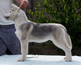 C1w4PH747wA.jpg (74.91 КБ, Просмотров: 2029) C1w4PH747wA.jpg