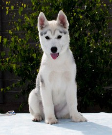 MJS62Ncj9rU.jpg (68.02 КБ, Просмотров: 2029) MJS62Ncj9rU.jpg