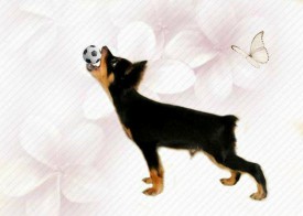 Генри (Копировать).jpg (173.83 КБ, Просмотров: 2571) Генри (Копировать).jpg