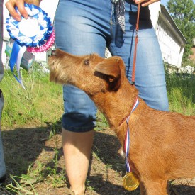 Южа 4.jpg (223.75 КБ, Просмотров: 2058) Южа 4.jpg