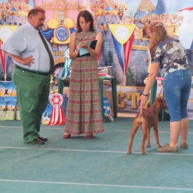 Южа 3.jpg (109.87 КБ, Просмотров: 2074) Южа 3.jpg