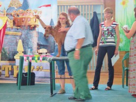 Южа 2.jpg (89.4 КБ, Просмотров: 2059) Южа 2.jpg