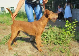 Южа 1.jpg (169 КБ, Просмотров: 2375) Южа 1.jpg