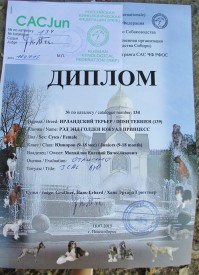 Южа диплом.jpg (128.37 КБ, Просмотров: 2657) Южа диплом.jpg