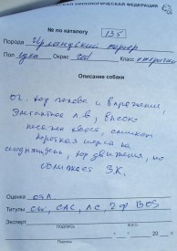 Гемма - описание.jpg (66.48 КБ, Просмотров: 2067) Гемма - описание.jpg