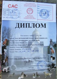 Гемма - диплом.jpg (117.53 КБ, Просмотров: 2656) Гемма - диплом.jpg