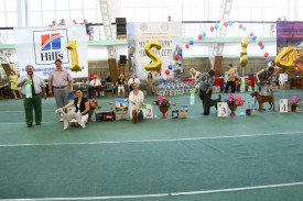 Джим 5.jpg (95.89 КБ, Просмотров: 2674) Джим 5.jpg
