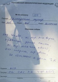 Джим описание.jpg (68.67 КБ, Просмотров: 2372) Джим описание.jpg