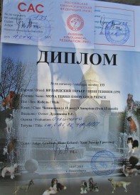 Джим 1 диплом.jpg (100.25 КБ, Просмотров: 2654) Джим 1 диплом.jpg