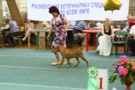 Дерика 4 бест.jpg (66.74 КБ, Просмотров: 2357) Дерика 4 бест.jpg