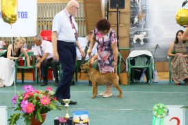 Дерика 3 бест.jpg (85.8 КБ, Просмотров: 2357) Дерика 3 бест.jpg