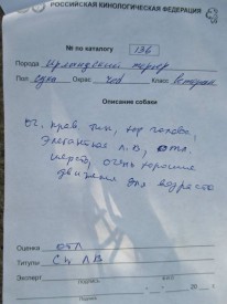 Дерика описание.jpg (51.44 КБ, Просмотров: 2654) Дерика описание.jpg