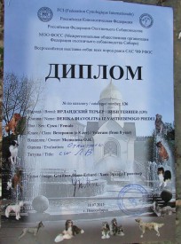 Дерика диплом.jpg (103.96 КБ, Просмотров: 2364) Дерика диплом.jpg