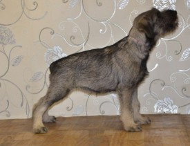 1+.jpg (64.17 КБ, Просмотров: 3522) 1+.jpg