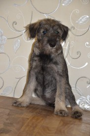 2.jpg (144.44 КБ, Просмотров: 3521) 2.jpg