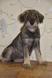 1.jpg (145.99 КБ, Просмотров: 3509) 1.jpg