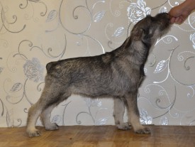 2.jpg (243.97 КБ, Просмотров: 3521) 2.jpg