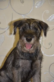 1.jpg (107.8 КБ, Просмотров: 3509) 1.jpg