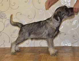 2.jpg (257.68 КБ, Просмотров: 3522) 2.jpg