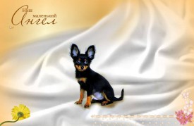 11774344_621245084683904_514582762_n.jpg (43.02 КБ, Просмотров: 2566) 11774344_621245084683904_514582762_n.jpg